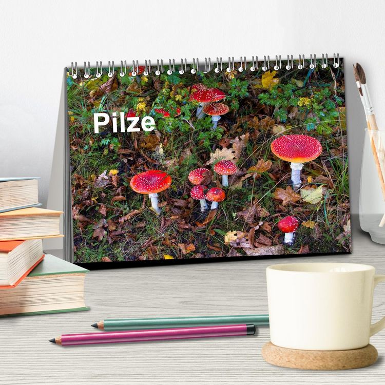 Produktbild: Pilze (Tischkalender 2026 DIN A5 quer), CALVENDO Monatskalender