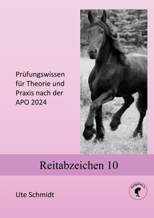 Produktbild: Reitabzeichen 10