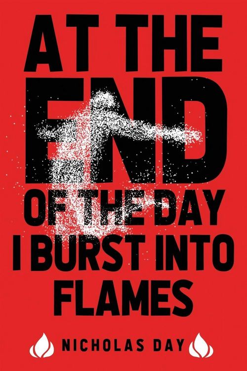 Produktbild: At The End Of The Day I Burst Into Flames
