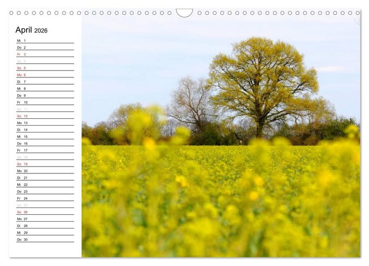 Produktbild: Die Jahreszeiten im Havelland (Wandkalender 2026 DIN A3 quer), CALVENDO Monatskalender