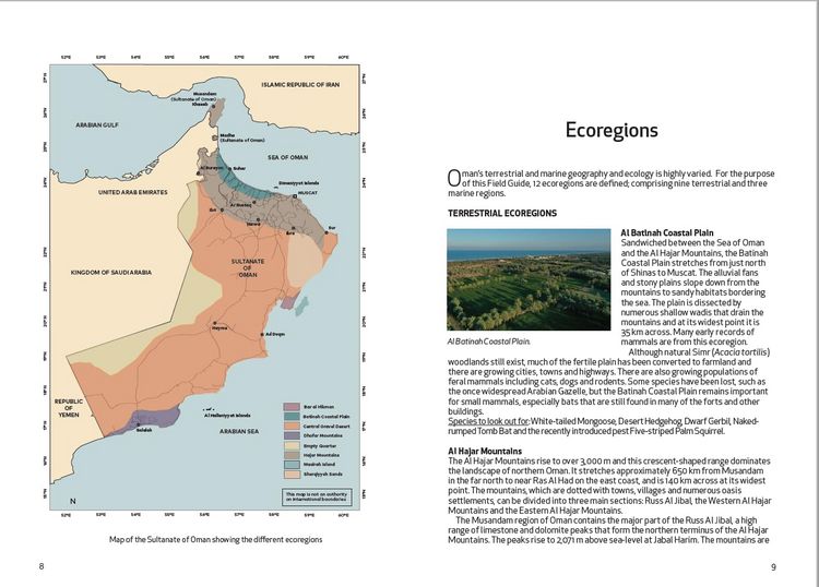 Produktbild: Spalton, A: Field Guide to the Mammals of Oman