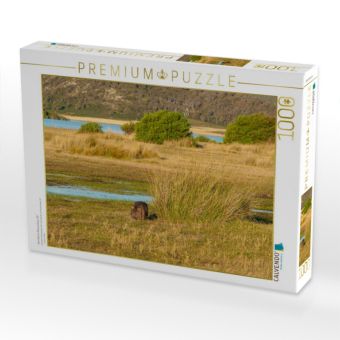 Produktbild: CALVENDO Puzzle Wombat im Narawntapu NP | 1000 Teile Lege-Gr&ouml;&szlig;e 64x48cm Foto-Puzzle f&uuml;r gl&uuml;ckliche Stunden