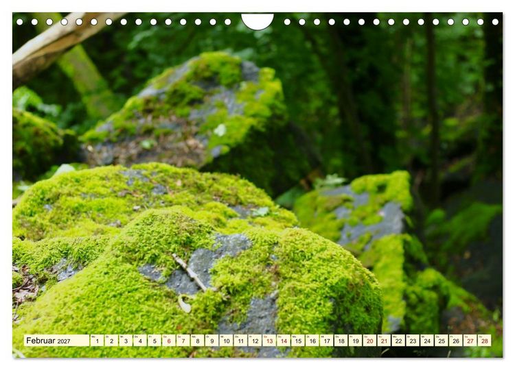 Produktbild: Natur und Architektur im Odenwald (Wandkalender 2027 DIN A4 quer), CALVENDO Monatskalender