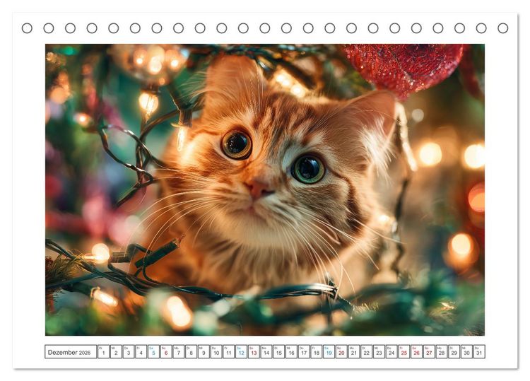 Produktbild: Miau mit Stil (Tischkalender 2026 DIN A5 quer), CALVENDO Monatskalender