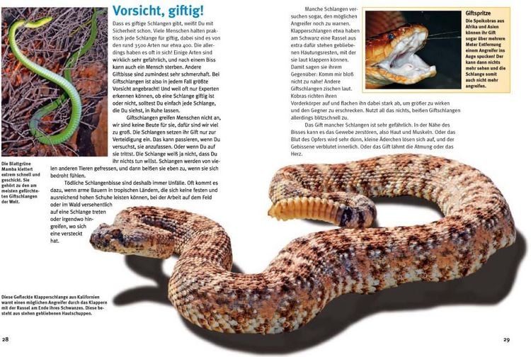 Produktbild: Entdecke die Reptilien