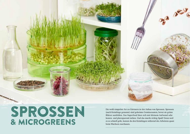 Produktbild: Endlich Mittagspause! Indoor-G&auml;rtnern zwischen Mails und Meetings mit Pfl&uuml;cksalat, Sprossen & Co.