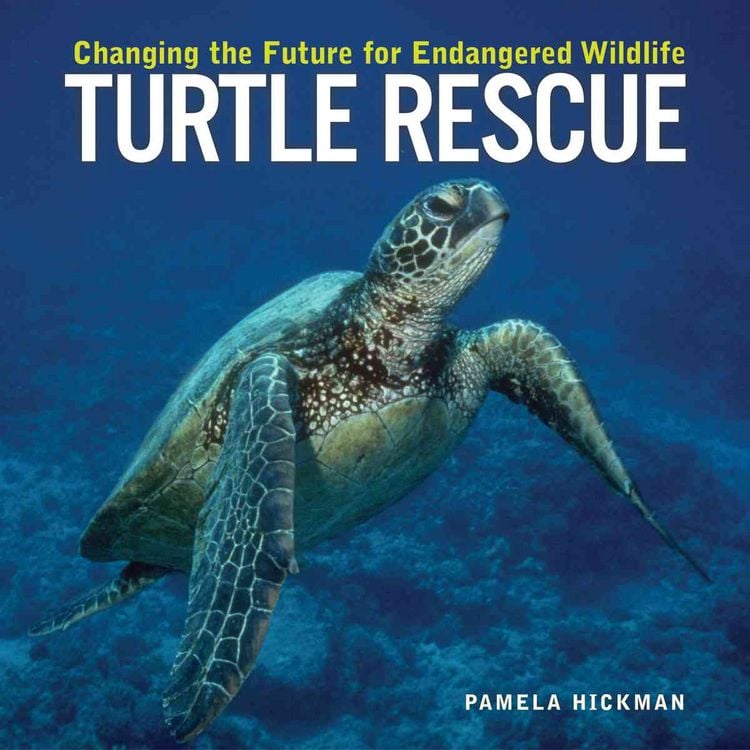 Produktbild: Turtle Rescue