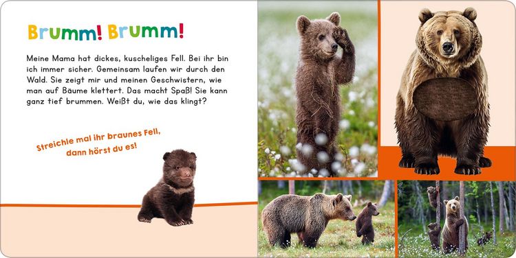 Produktbild: H&ouml;r mal rein, wer kann das sein? &ndash; Meine Mama