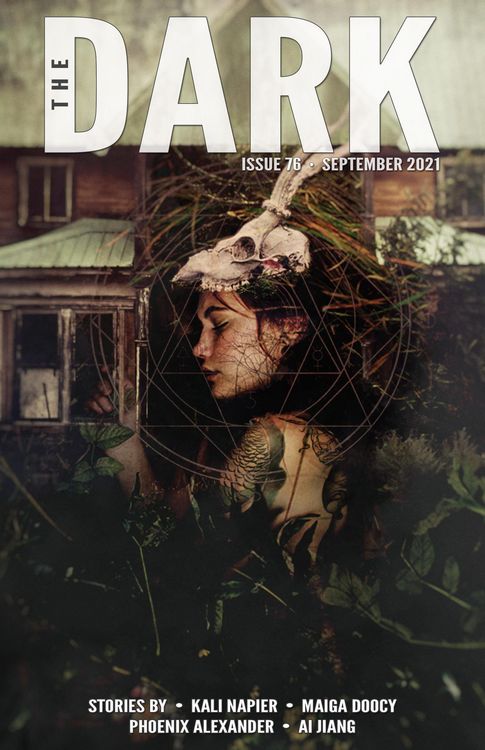 Produktbild: The Dark Issue 76