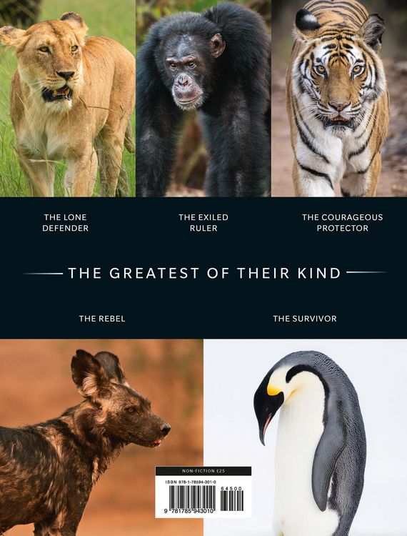 Produktbild: Dynasties