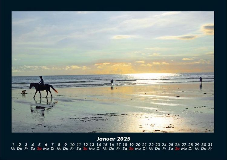 Produktbild: Pferde Kalender 2025 Fotokalender DIN A4