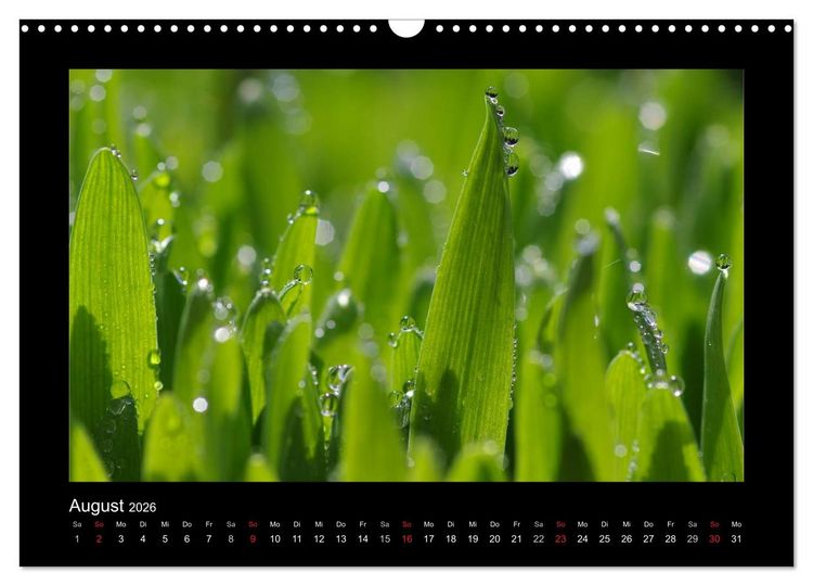 Produktbild: Meine kleine gr&uuml;ne Wassertropfen Welt (Wandkalender 2026 DIN A3 quer), CALVENDO Monatskalender