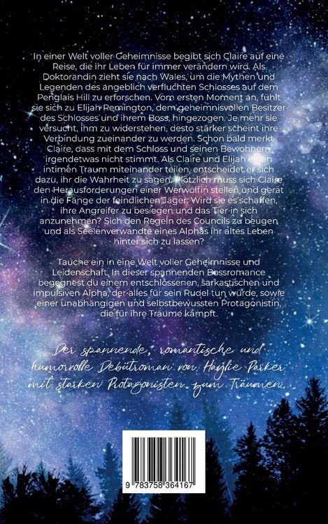 Produktbild: Das Geheimnis des Penglais Hill