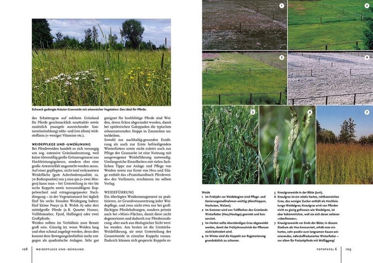 Produktbild: Pferdehaltung und -f&uuml;tterung