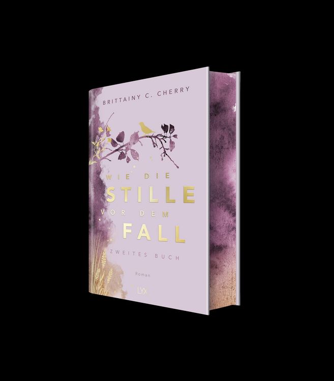 Produktbild: Wie die Stille vor dem Fall. Zweites Buch: Special Edition