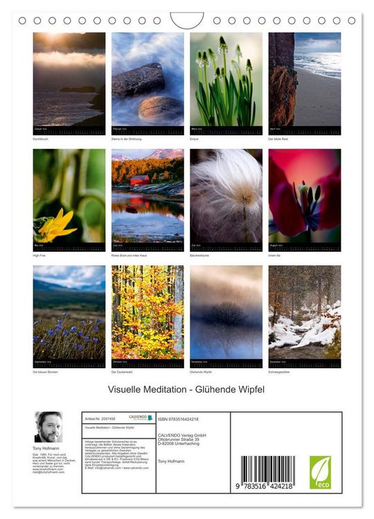 Produktbild: Visuelle Meditation - Gl&uuml;hende Wipfel (Wandkalender 2026 DIN A4 hoch), CALVENDO Monatskalender