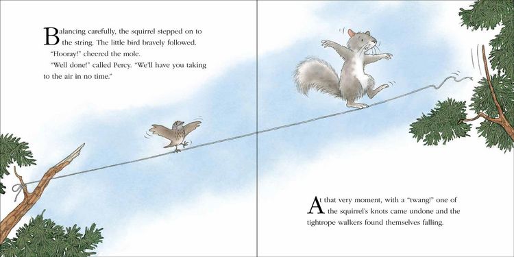 Produktbild: Owl's Lesson