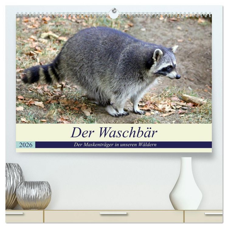 Produktbild: Der Waschb&auml;r - Der Maskentr&auml;ger in unseren W&auml;ldern (hochwertiger Premium Wandkalender 2026 DIN A2 quer), Kunstdruck in Hochglanz