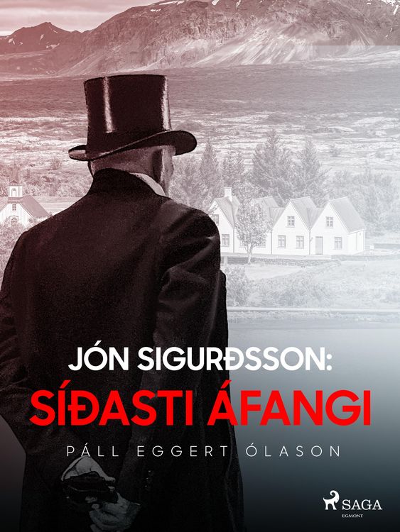 Produktbild: J&oacute;n Sigur&eth;sson: S&iacute;&eth;asti &aacute;fangi