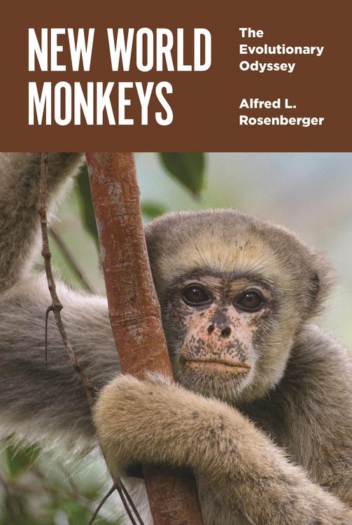 Produktbild: New World Monkeys