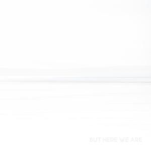 Produktbild: But Here We Are