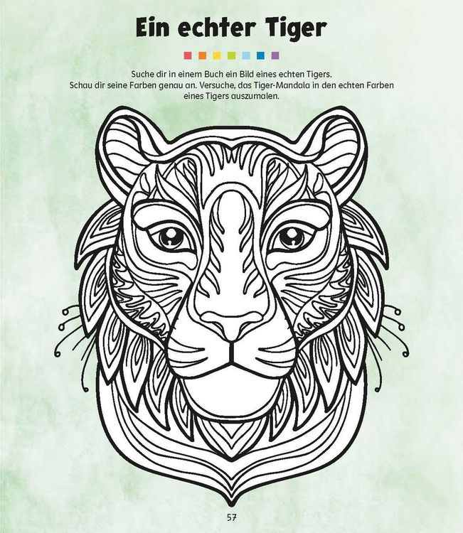 Produktbild: QUID+ 50 Mandalas