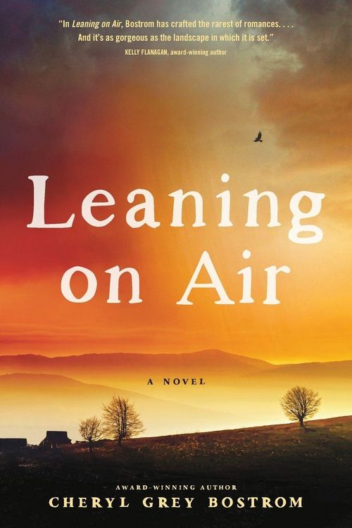 Produktbild: Leaning on Air