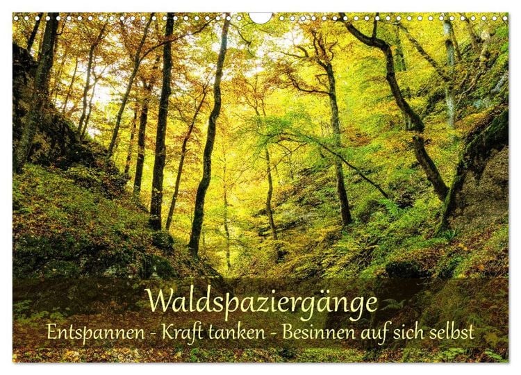 Produktbild: Waldspazierg&auml;nge: Entspannen - Kraft tanken - Besinnen auf sich selbst (Wandkalender 2027 DIN A3 quer), CALVENDO Monatskalender
