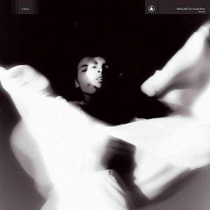 Produktbild: THE TURNING WHEEL (Silver Vinyl)