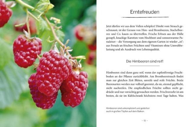 Produktbild: Das gro&szlig;e kleine Buch: Mein Garten im Sommer