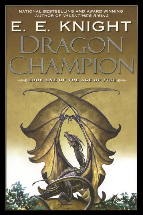 Produktbild: Dragon Champion