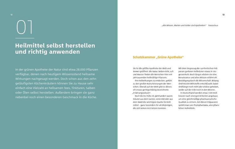 Produktbild: 10 Kr&auml;uter gegen 100 Krankheiten