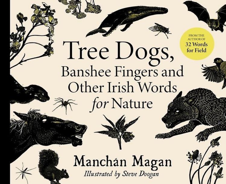 Produktbild: Tree Dogs, Banshee Fingers and Other Irish Words for Nature