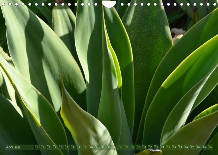 Produktbild: Alle Farben Gr&uuml;n (Wandkalender 2022 DIN A4 quer)