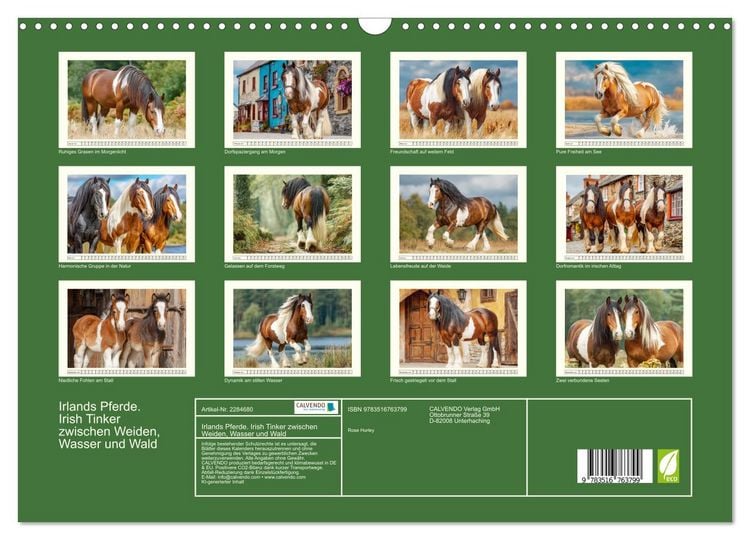 Produktbild: Irlands Pferde. Irish Tinker zwischen Weiden, Wasser und Wald (Wandkalender 2027 DIN A3 quer), CALVENDO Monatskalender