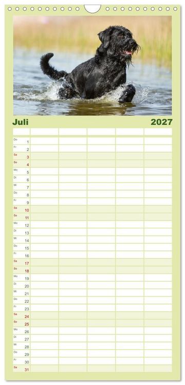 Produktbild: Familienplaner 2027 - Mit dem Riesenschnauzer durch das Jahr mit 5 Spalten (Wandkalender, 21 x 45 cm) CALVENDO