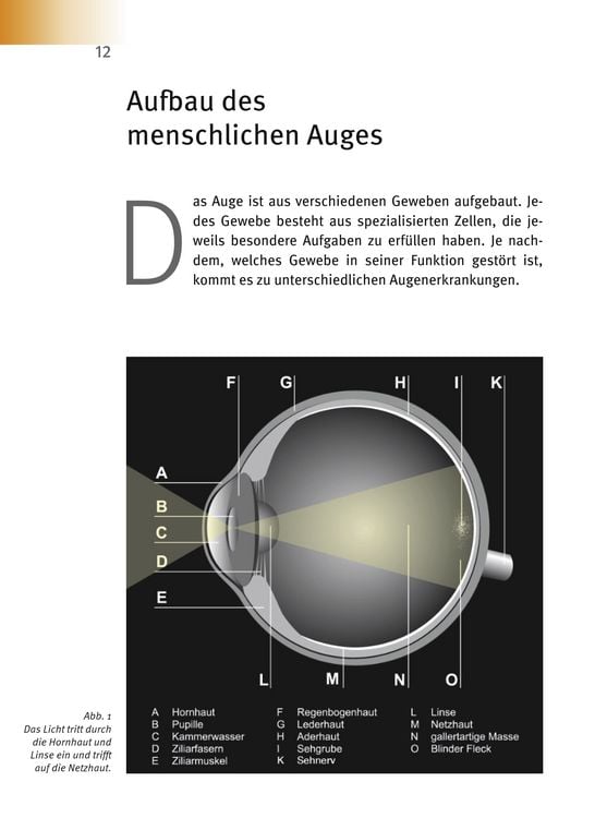 Produktbild: Makuladegeneration - Diabetische Retinopathie
