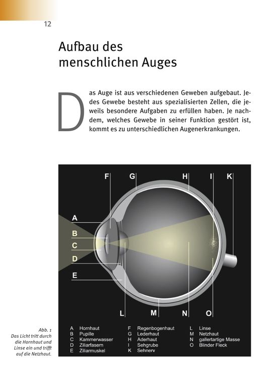 Produktbild: Makuladegeneration - Diabetische Retinopathie