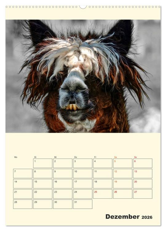 Produktbild: Putzige Alpakas (hochwertiger Premium Wandkalender 2026 DIN A2 hoch), Kunstdruck in Hochglanz
