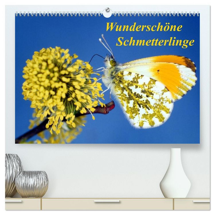 Produktbild: Wundersch&ouml;ne Schmetterlinge (hochwertiger Premium Wandkalender 2026 DIN A2 quer), Kunstdruck in Hochglanz