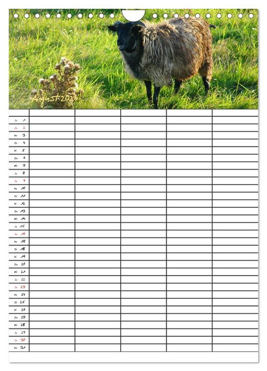 Produktbild: Bauernhoftiere Familienplaner (Wandkalender 2026 DIN A4 hoch), CALVENDO Monatskalender