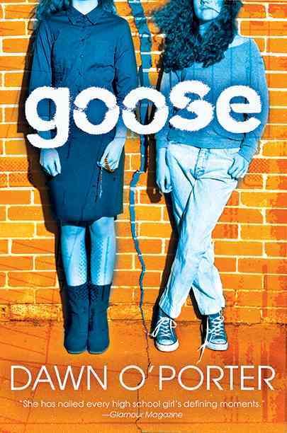 Produktbild: GOOSE