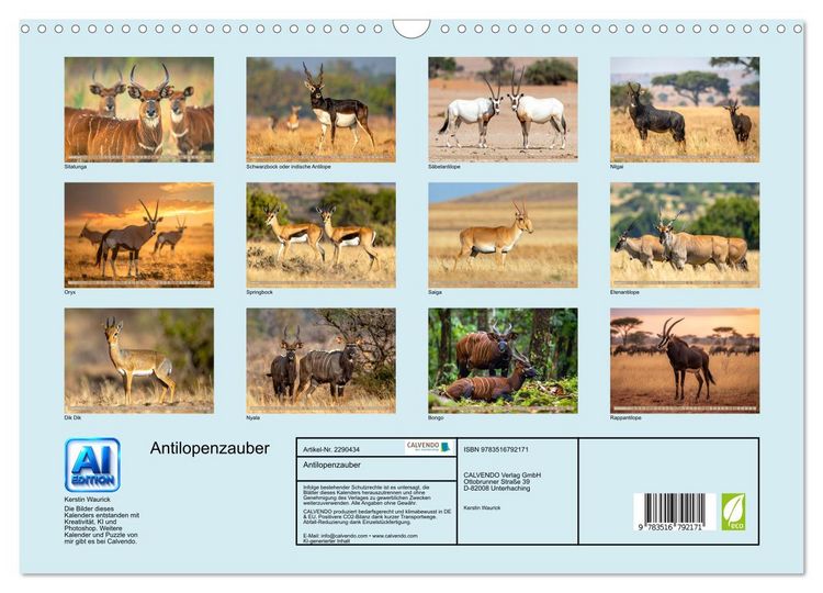 Produktbild: Antilopenzauber (Wandkalender 2027 DIN A3 quer), CALVENDO Monatskalender