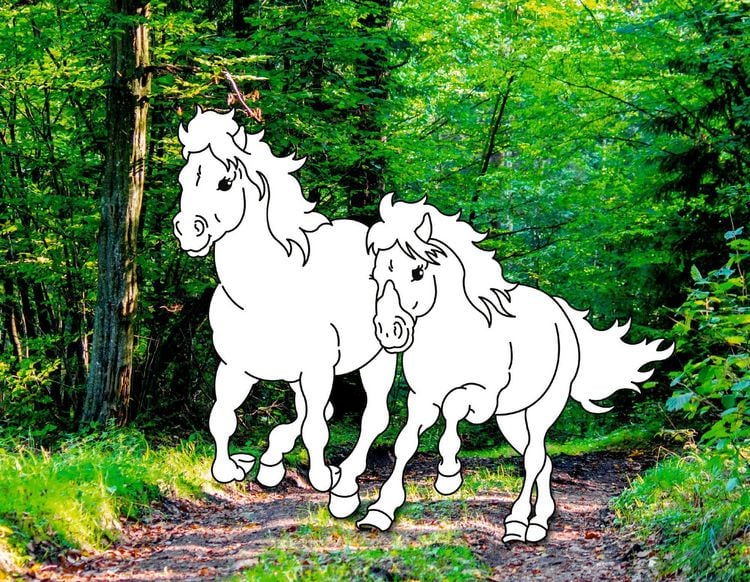 Produktbild: Traumpferde-Malbuch: Wilde Natur - Pferdefreunde