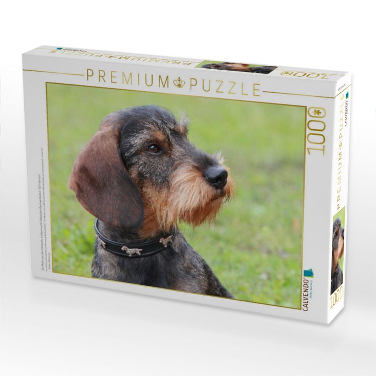 Produktbild: CALVENDO Puzzle Ein Motiv aus dem Kalender Liebenswerte Rabauken Rauhaardackel / CH-Version | 1000 Teile Lege-Gr&ouml;&szlig;e 64x48cm Foto-Puzzle f&uuml;r gl&uuml;ckliche Stunden