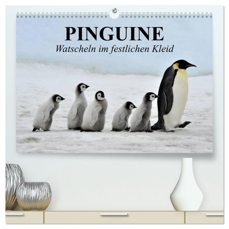 Produktbild: Pinguine - Watscheln im festlichen Kleid (hochwertiger Premium Wandkalender 2026 DIN A2 quer), Kunstdruck in Hochglanz