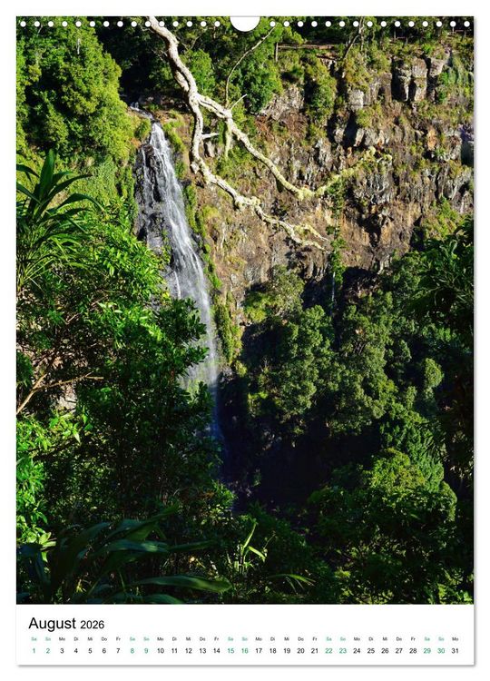 Produktbild: Regenwald - Australien (Wandkalender 2026 DIN A3 hoch), CALVENDO Monatskalender