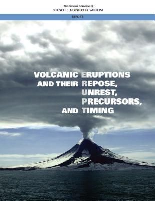 Produktbild: Volcanic Eruptions and Their Repose, Unrest, Precursors, and Timing