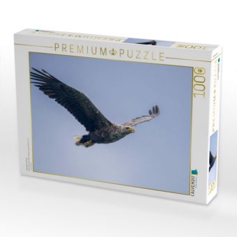 Produktbild: CALVENDO Puzzle Seeadler im Flug | 1000 Teile Lege-Gr&ouml;&szlig;e 64x48cm Foto-Puzzle f&uuml;r gl&uuml;ckliche Stunden