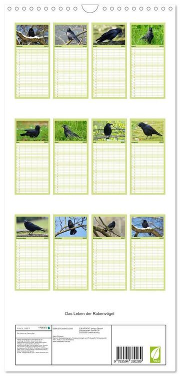 Produktbild: Familienplaner 2027 - Das Leben der Rabenv&ouml;gel mit 5 Spalten (Wandkalender, 21 x 45 cm) CALVENDO